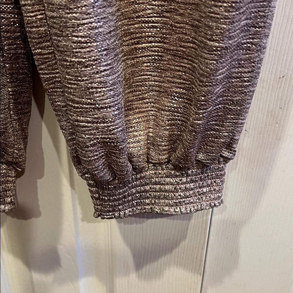 Anthropologie Textured Shimmer Genie pants/joggers - Picture 5 of 9